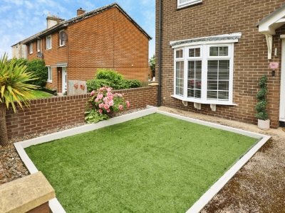 Picture 11